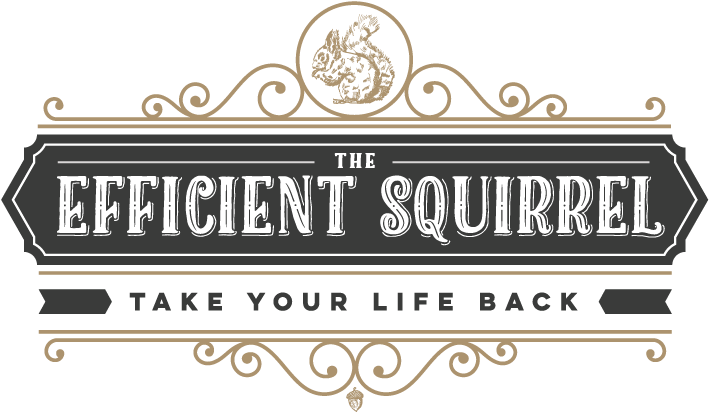 Efficient Squirrel Logo PNG image