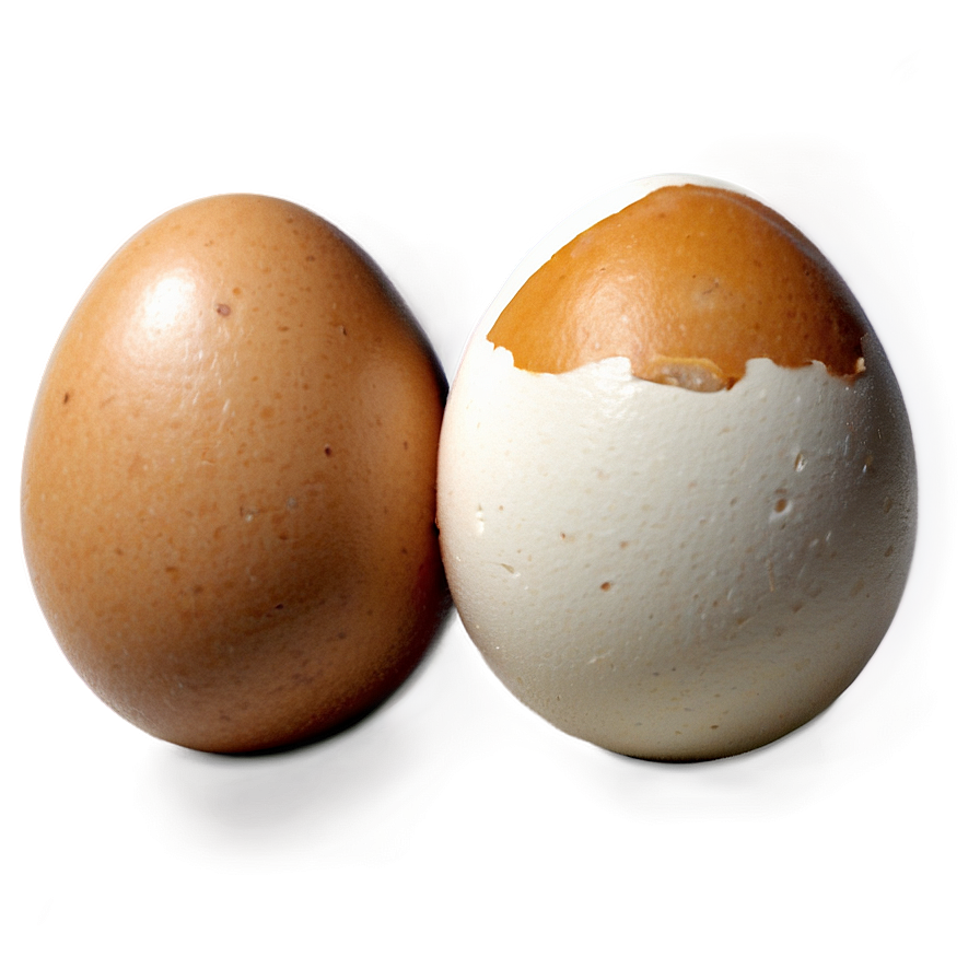 Egg Cartoon Png 66 PNG image