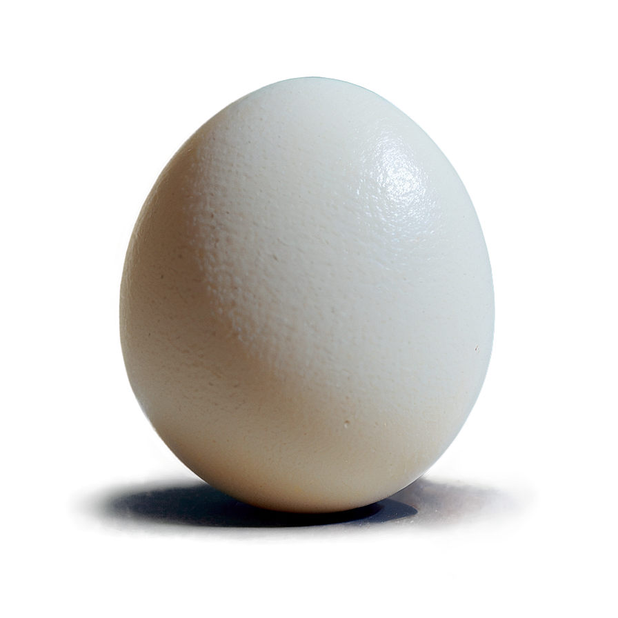 Egg Drawing Png 05242024 PNG image