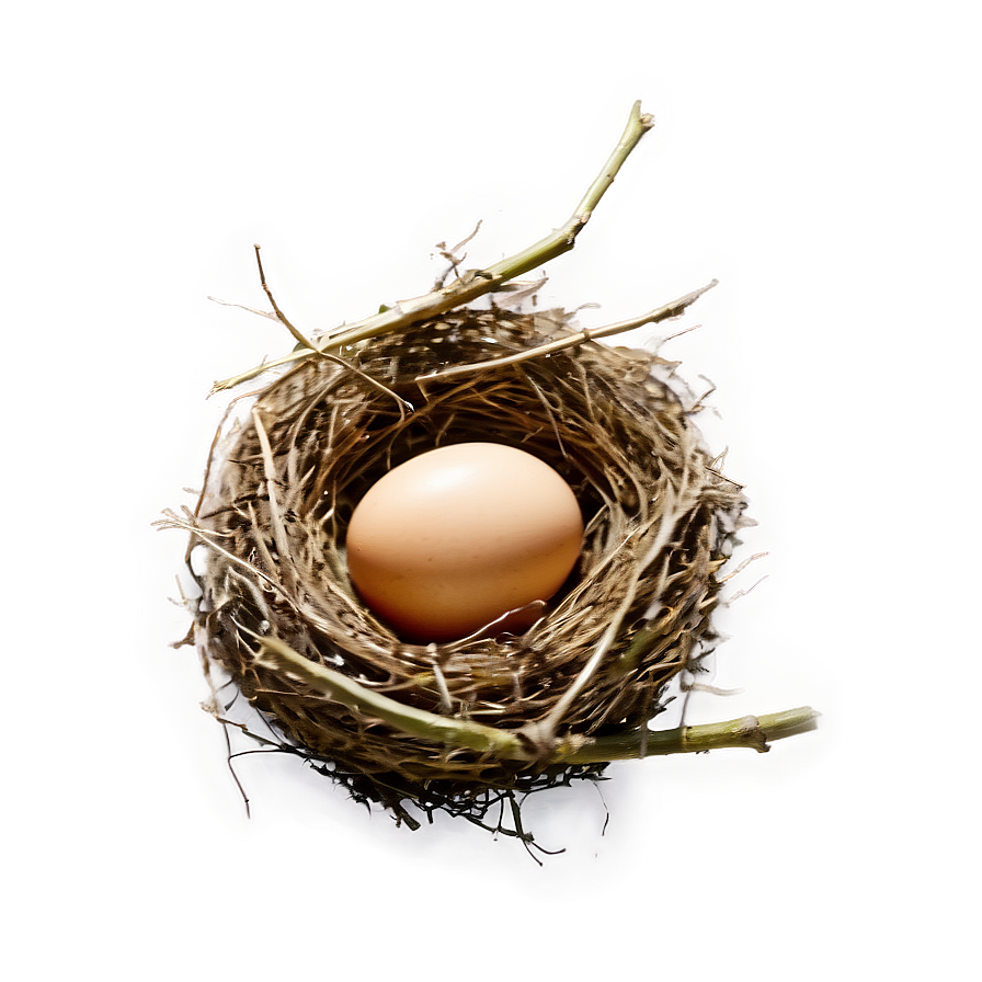 Egg In Nest Png 05242024 PNG image