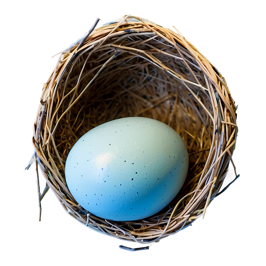 Egg In Nest Png Oho2 PNG image