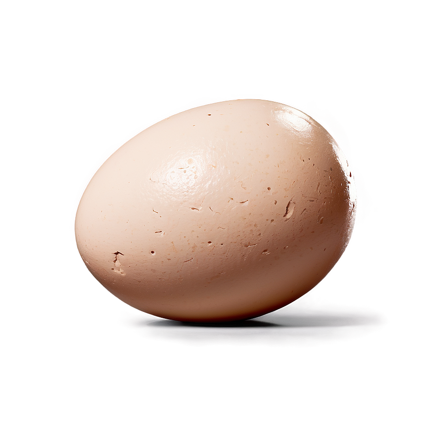 Egg With Crack Png 06132024 PNG image