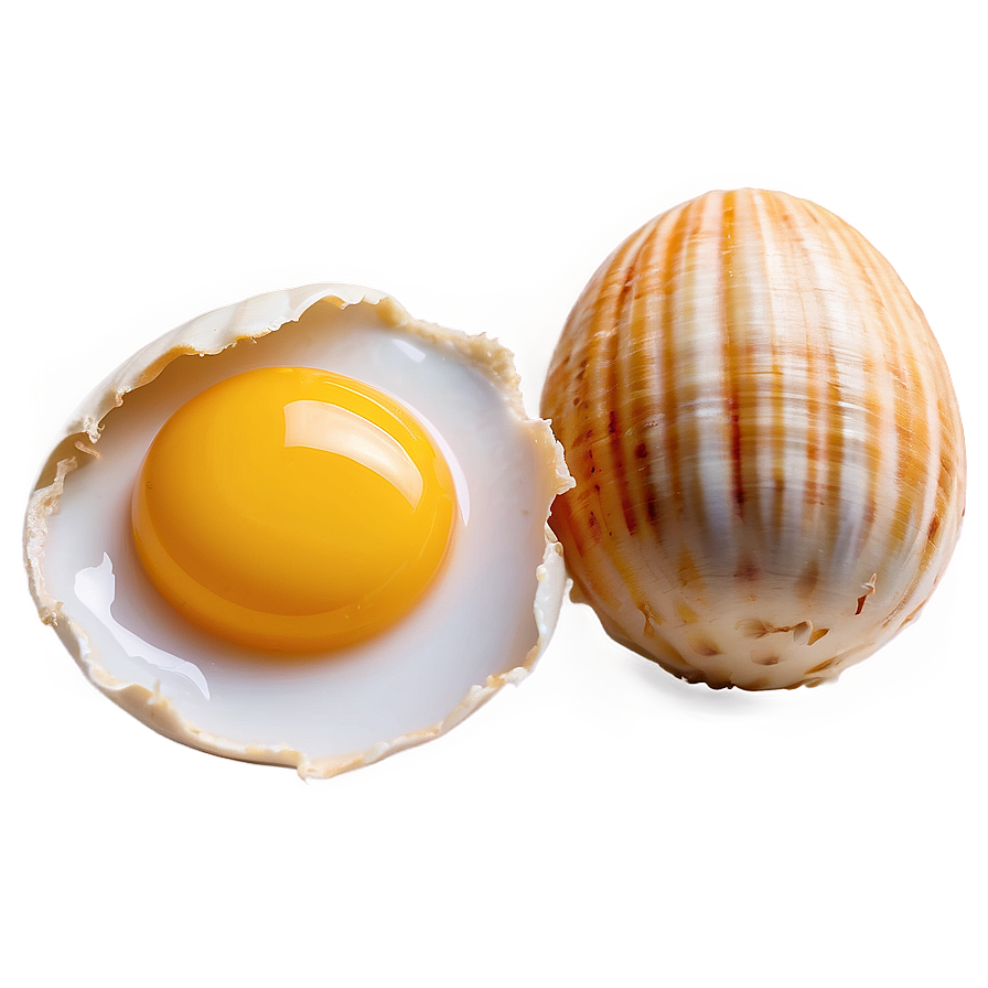 Egg Yolk And Shell Png Vli PNG image