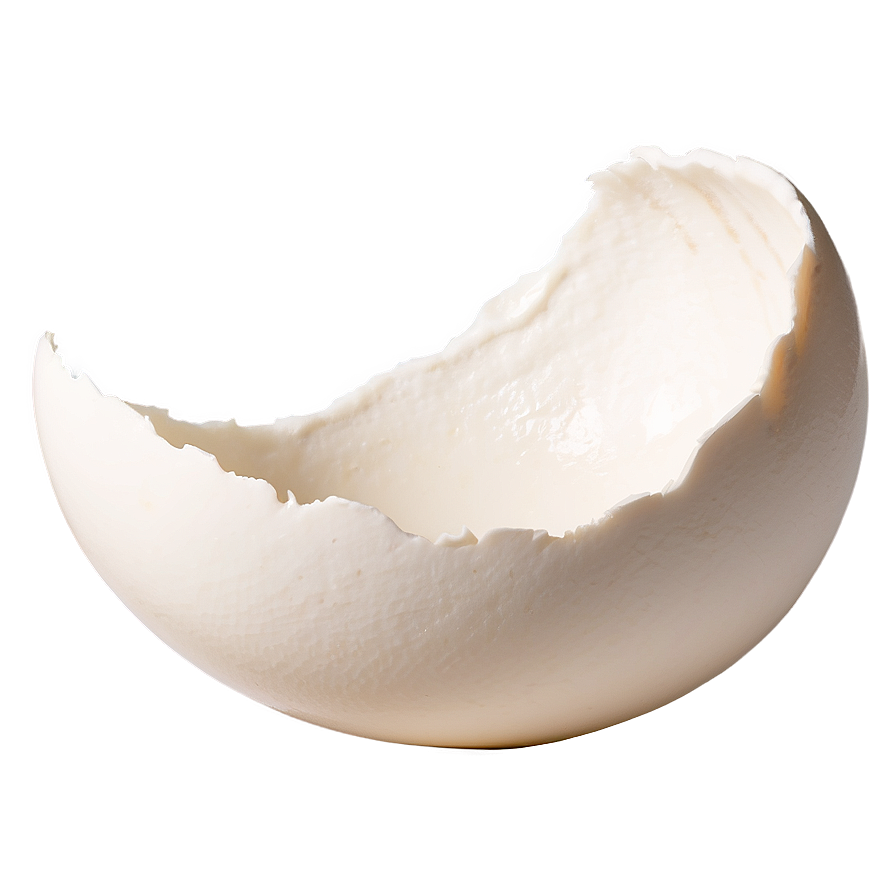 Eggshell Fragment Png 06132024 PNG image