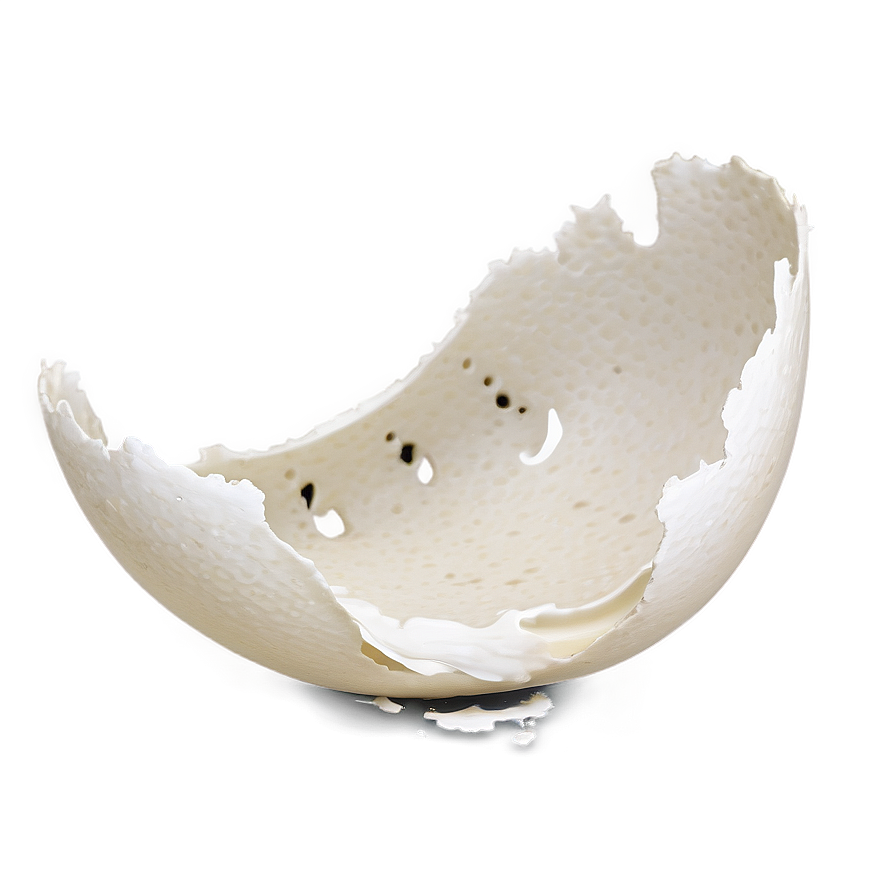 Eggshell Fragment Png 66 PNG image