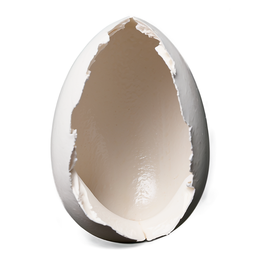 Eggshell Opening Png Tkq95 PNG image