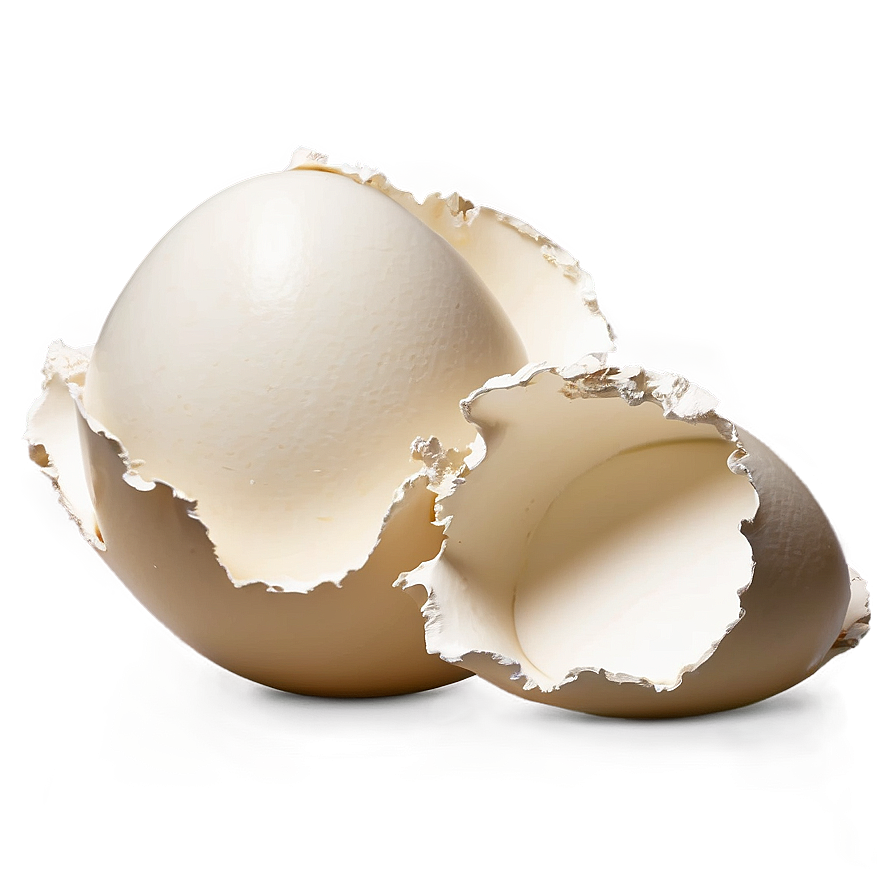 Eggshell Pieces Art Png Gif62 PNG image