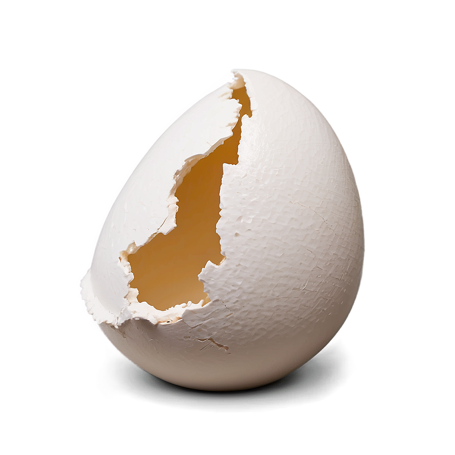 Eggshell With Crack Png 06132024 PNG image