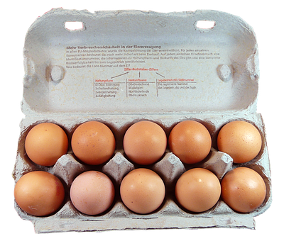 Eggsin Carton Top View PNG image