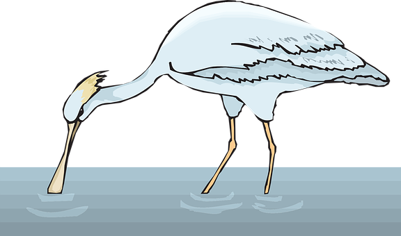 Egret Optical Illusion Water Reflection PNG image