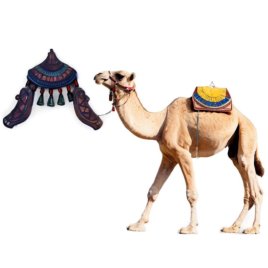 Egyptian Camel Png 05212024 PNG image