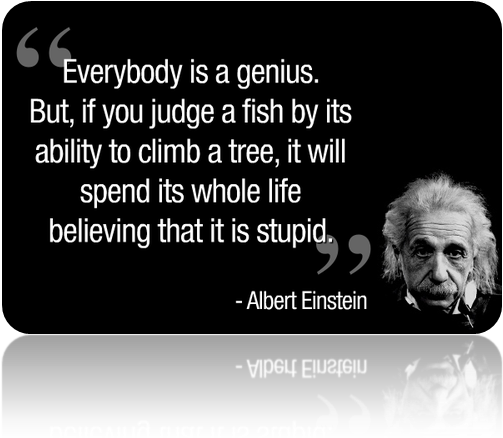 Einstein Genius Quote Image PNG image