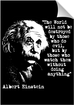 Einstein Quote World Evil Watchers PNG image