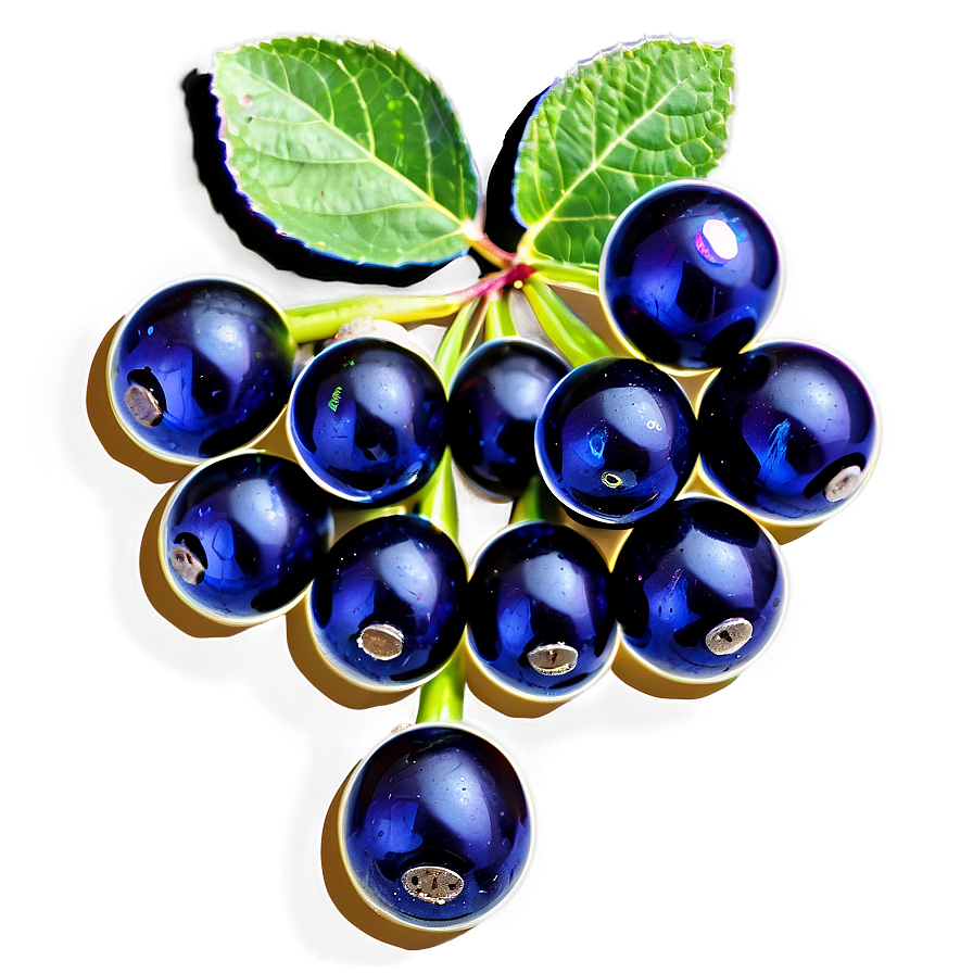 Elderberry Capsule Png Wca5 PNG image