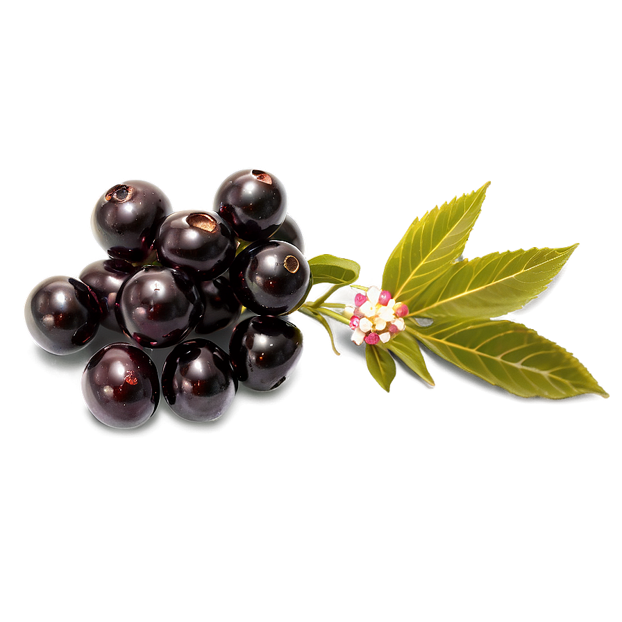 Elderberry Medicine Png 60 PNG image