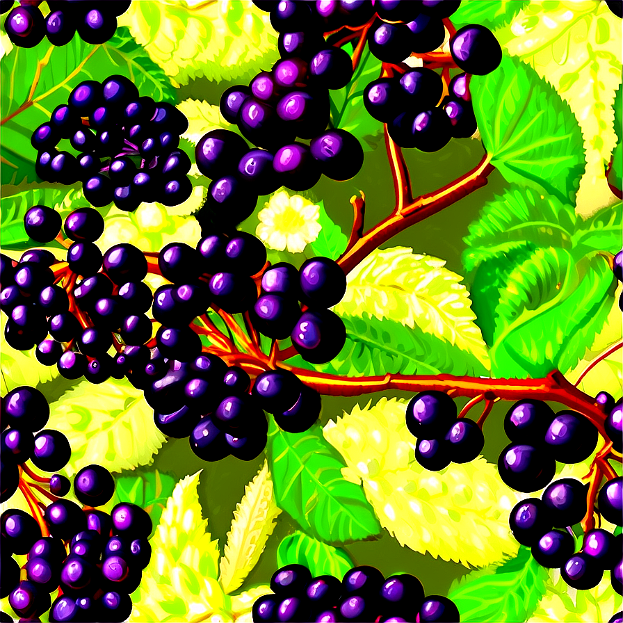 Elderberry Pattern Png Jvk PNG image