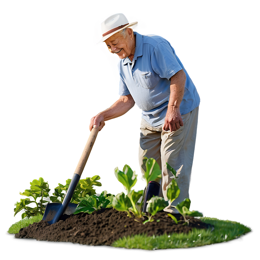 Elderly Man Gardening Png 06252024 PNG image