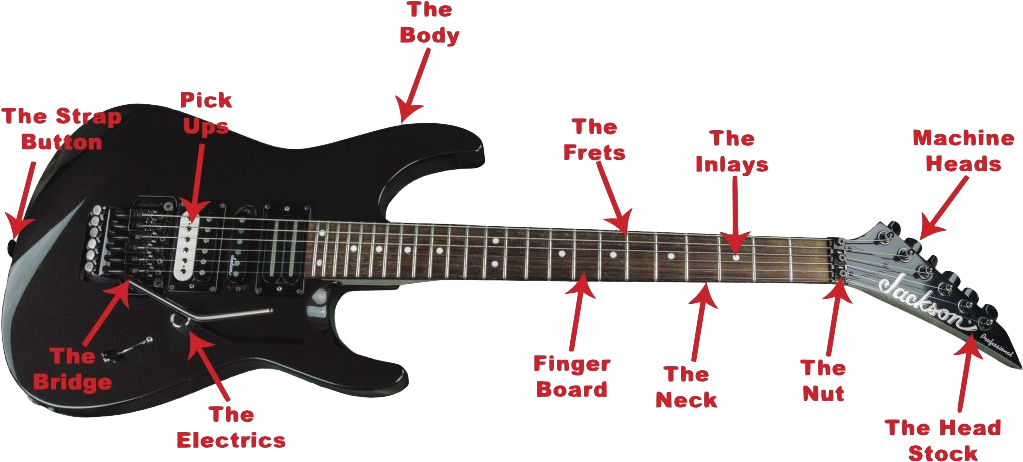 Electric Guitar Parts Identification PNG image