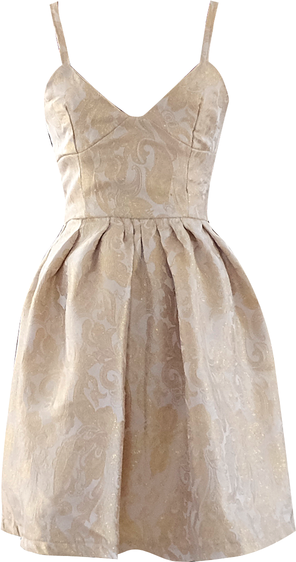 Elegant Beige Cocktail Dress PNG image