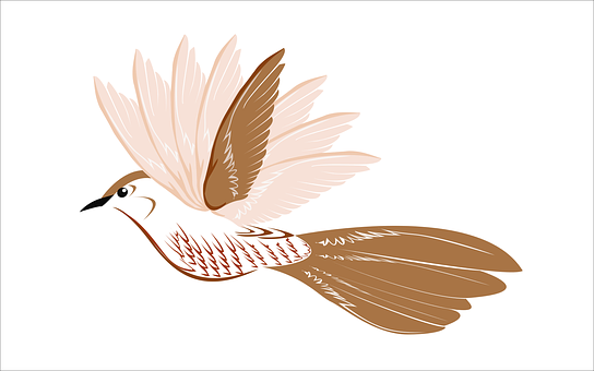 Elegant Bird Illustration PNG image