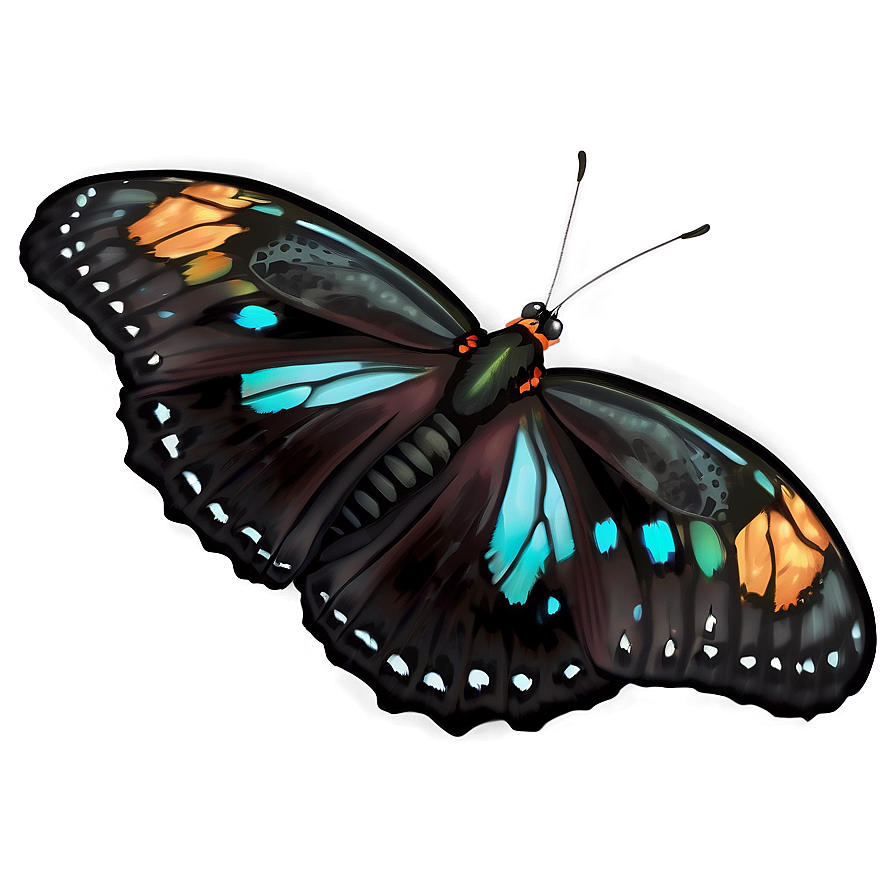 Elegant Black Butterfly Art Png Gvf PNG image