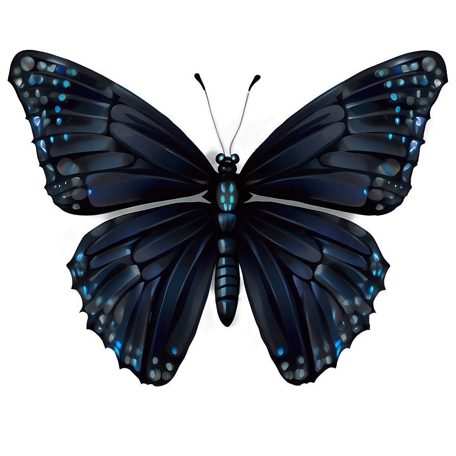 Elegant Black Butterfly Art Png Smj PNG image