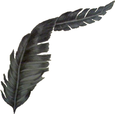 Elegant Black Feather Art.png PNG image