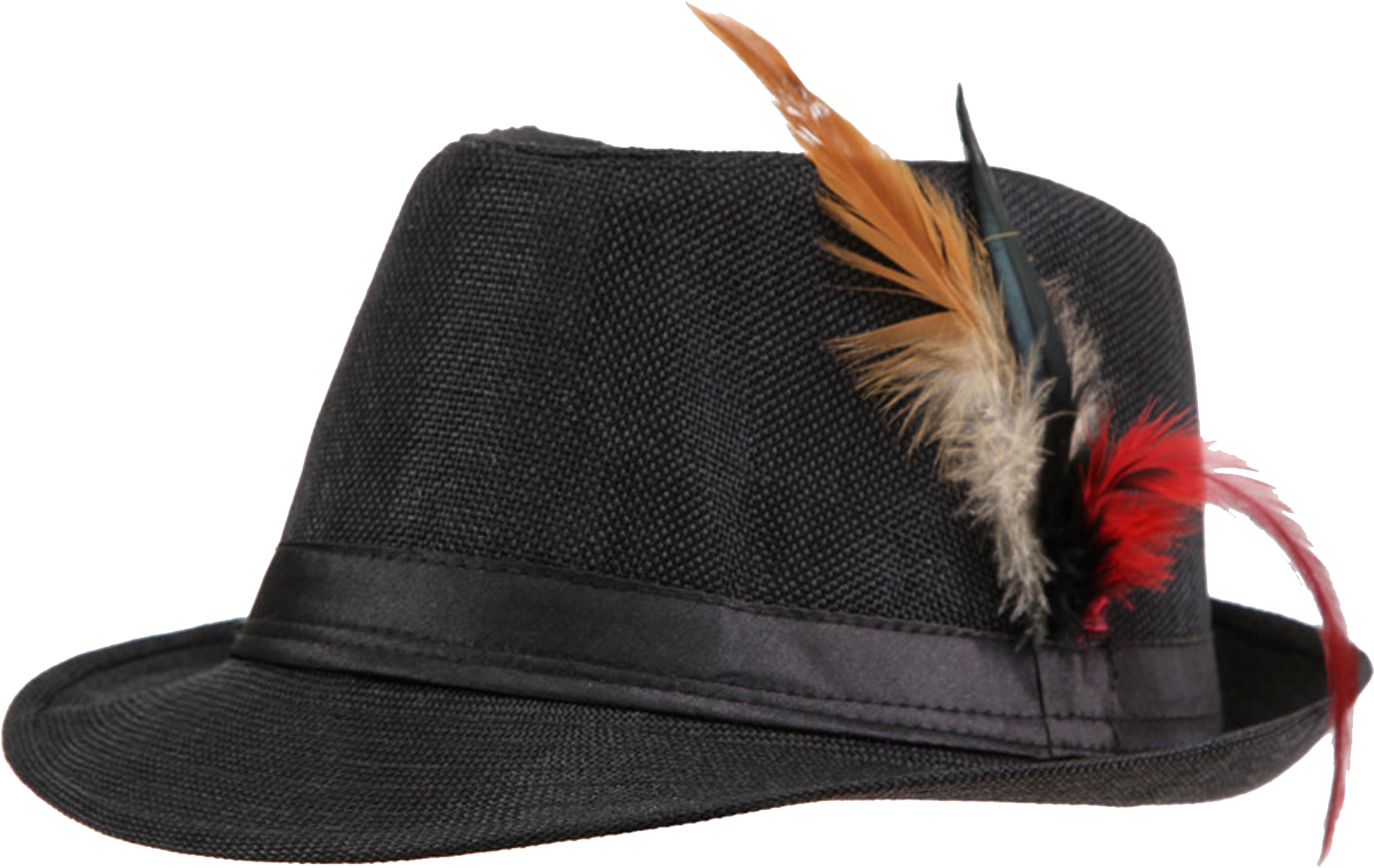 Elegant Black Fedora Hatwith Feathers PNG image