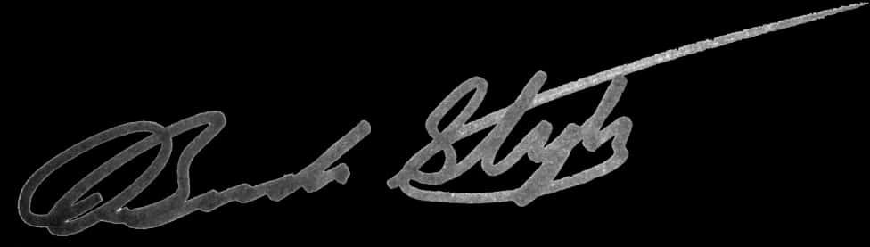 Elegant Black Signature PNG image