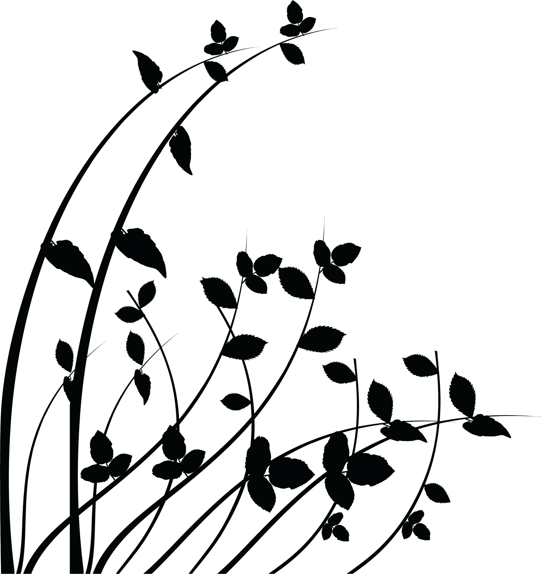 Elegant Black Silhouette Floral Art PNG image