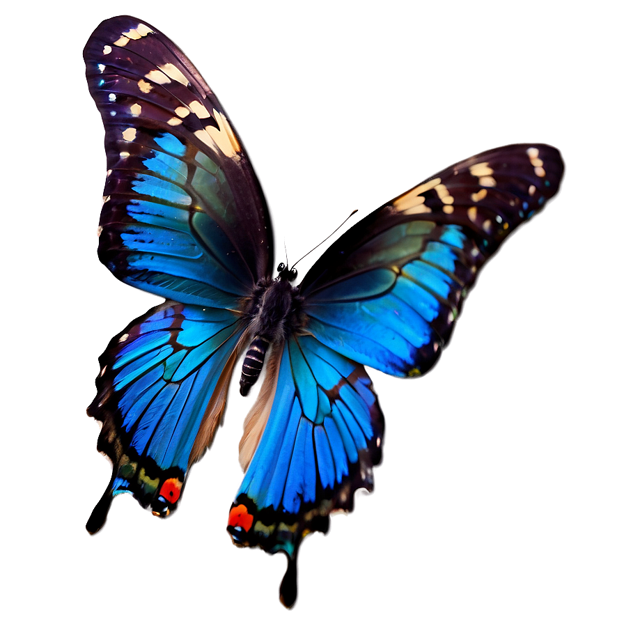 Elegant Blue Butterfly Png 9 PNG image