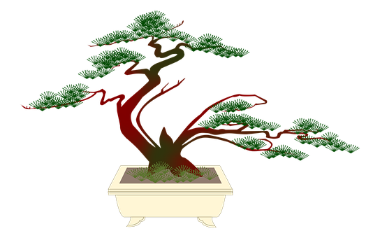 Elegant Bonsai Tree Illustration PNG image