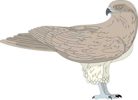 Elegant Brown Bird Illustration PNG image