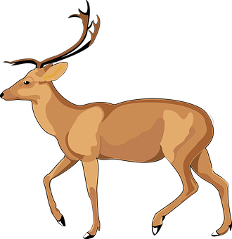 Elegant Brown Deer Illustration PNG image
