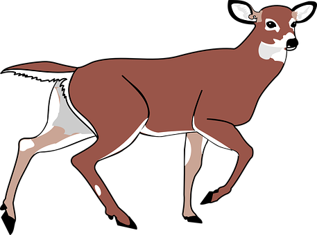 Elegant Brown Deer Illustration PNG image