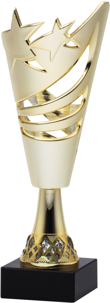 Elegant Cricket Trophy Design PNG image