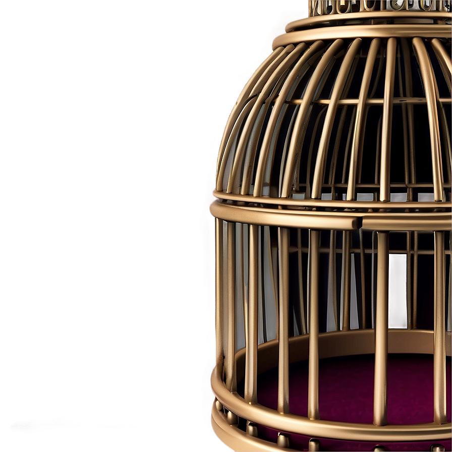 Elegant Decorative Cage Png 40 PNG image