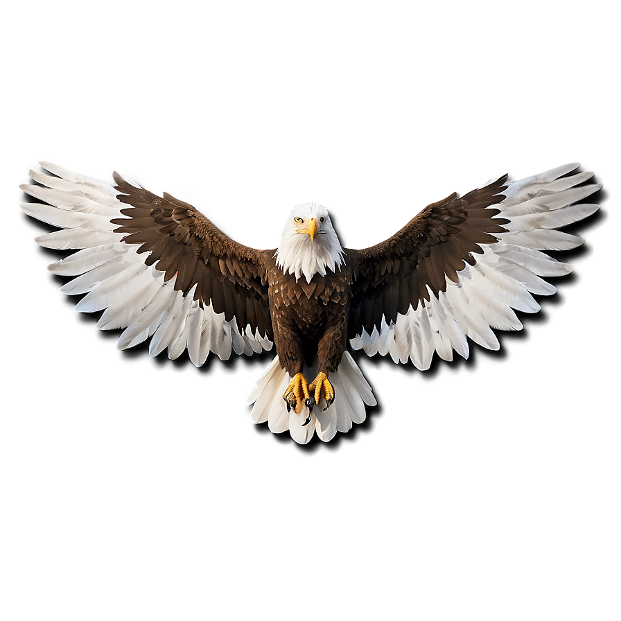 Elegant Eagle Wings Png 55 PNG image