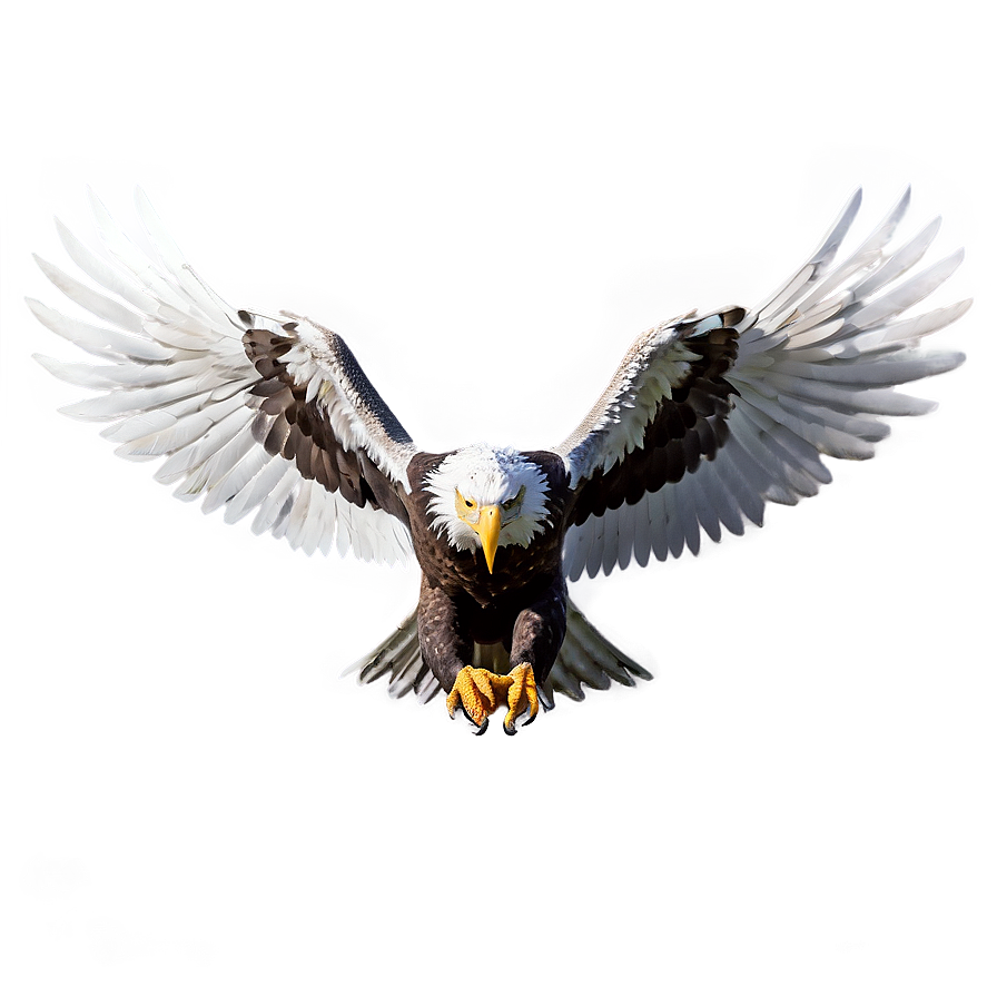 Elegant Eagle Wings Png Jpo82 PNG image