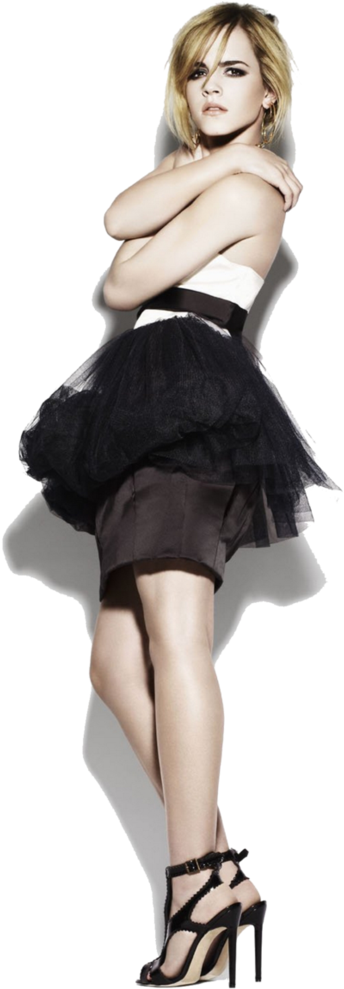 Elegant Emmain Black Tulle Skirt PNG image