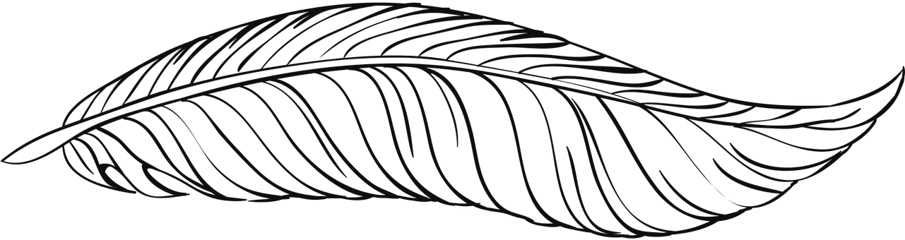 Elegant Feather Illustration PNG image