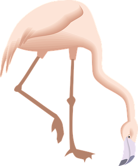 Elegant Flamingo Graphic PNG image