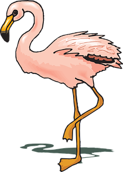 Elegant Flamingo Illustration PNG image