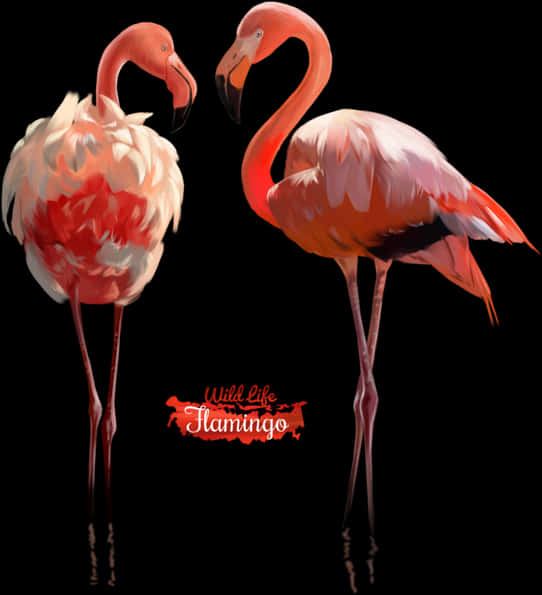 Elegant Flamingos Watercolor Art PNG image