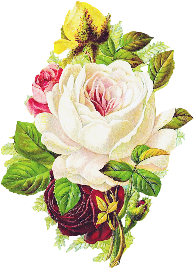 Elegant Floral Arrangement Vector PNG image