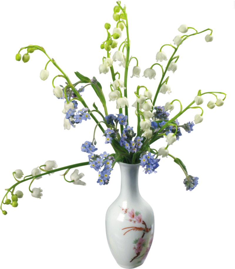 Elegant Floral Arrangementin Vase PNG image