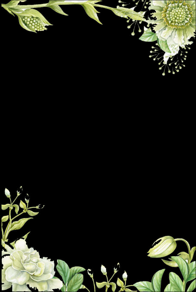 Elegant Floral Black Background PNG image