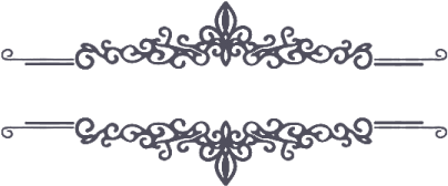 Elegant Floral Border Design PNG image