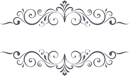 Elegant Floral Decorative Border PNG image