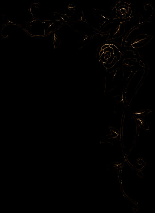 Elegant Floral Design Black Background PNG image